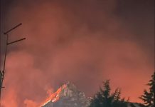 Incendi, oltre cento interventi in tutta la Sicilia