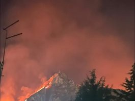 Incendi, oltre cento interventi in tutta la Sicilia