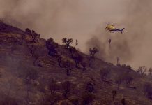 Spagna, bosco in fiamme vicino ad Almería: almeno 12 morti