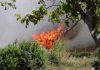 Tunisia, domati gli incendi più violenti dopo 9 giorni di interventi