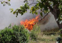 Altra giornata critica sul fronte incendi, allarme a Castronovo e Bivona