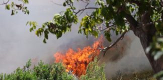 Altra giornata critica sul fronte incendi, allarme a Castronovo e Bivona