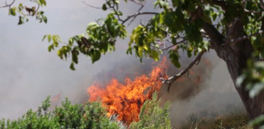 Altra giornata critica sul fronte incendi, allarme a Castronovo e Bivona
