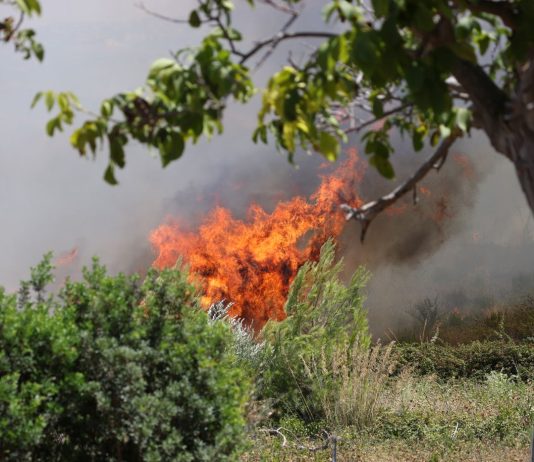 Incendi e black-out in Sicilia, un vigile del fuoco muore durante i soccorsi. Cocina: “Restano tre fronti gravi”