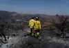 Spagna, a causa degli incendi oltre 120mila evacuati. Nuovo fronte nella zona di Valencia