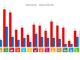 Rapporto SDGs 2026 dell’Istat: il 51% delle misure in miglioramento, più inerzia in quelle ambientali