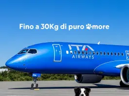 ITA Airways lancia il servizio “Large Dog On Board” per cani di grossa taglia a bordo