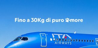 ITA Airways lancia il servizio “Large Dog On Board” per cani di grossa taglia a bordo