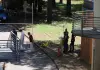 Tragedia a Lido di Camaiore, anziano uccide l’ex moglie in ospedale e poi si toglie la vita