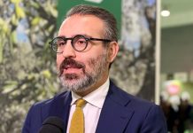 “Foreste di Puglia”, 10,3 milioni di progetti presentati per nuovi boschi, arboricoltura e sistemi agroforestali