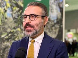 “Foreste di Puglia”, 10,3 milioni di progetti presentati per nuovi boschi, arboricoltura e sistemi agroforestali