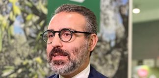 “Foreste di Puglia”, 10,3 milioni di progetti presentati per nuovi boschi, arboricoltura e sistemi agroforestali