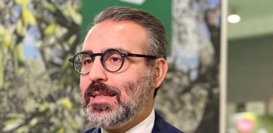 “Foreste di Puglia”, 10,3 milioni di progetti presentati per nuovi boschi, arboricoltura e sistemi agroforestali