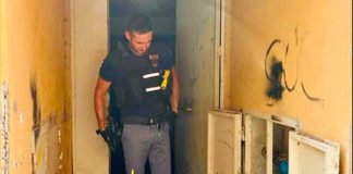 Armi, munizioni e mezzi rubati scoperti in un sottoscala dello Zen di Palermo