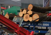 Tecnologie forestali e produzione di biomasse, accordo strategico tra Veronafiere e ITABIA