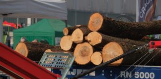 Tecnologie forestali e produzione di biomasse, accordo strategico tra Veronafiere e ITABIA
