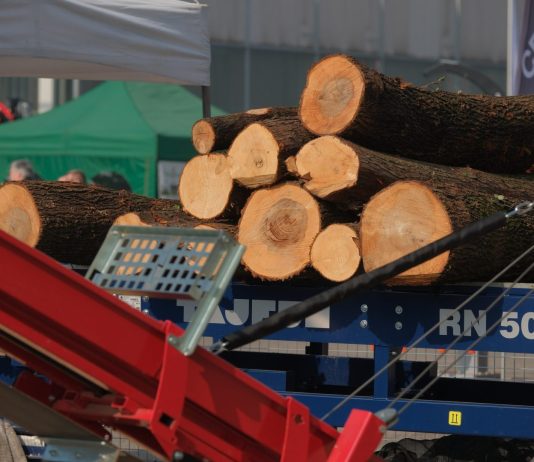 Tecnologie forestali e produzione di biomasse, accordo strategico tra Veronafiere e ITABIA