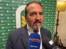 Rocchi “La gestione della Xylella ci ha mostrato che serve un cambio di paradigma” / Video