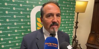 Rocchi “La gestione della Xylella ci ha mostrato che serve un cambio di paradigma” / Video
