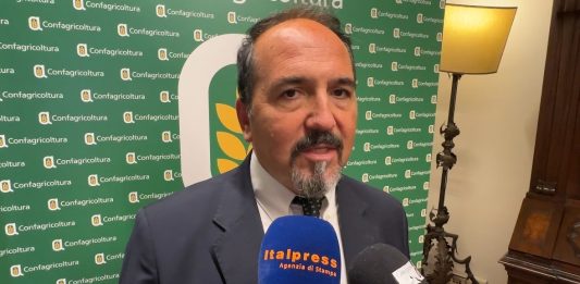 Rocchi “La gestione della Xylella ci ha mostrato che serve un cambio di paradigma” / Video