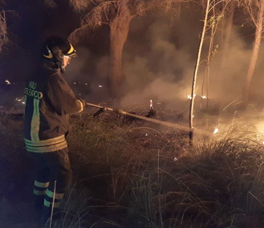 Campagna antincendio boschivo 2026 in Sardegna, a metà stagione dati nella media