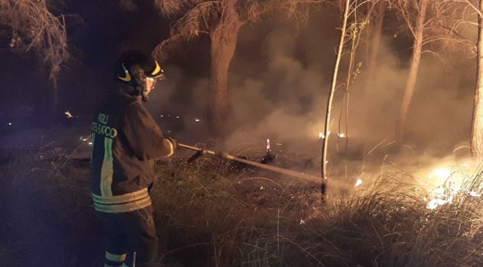 Campagna antincendio boschivo 2026 in Sardegna, a metà stagione dati nella media