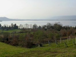 Tragedia nel lago di Viverone, 32enne muore annegato dopo essere scivolato dal pedalò
