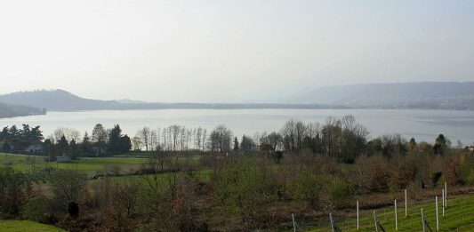 Tragedia nel lago di Viverone, 32enne muore annegato dopo essere scivolato dal pedalò