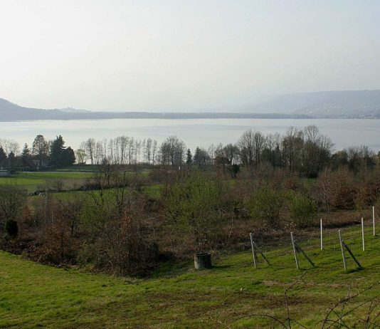 Tragedia nel lago di Viverone, 32enne muore annegato dopo essere scivolato dal pedalò