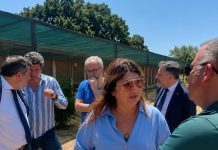Tutela del benessere animale e contrasto al randagismo, l’assessore Straface avvia il tour istituzionale nei canili calabresi