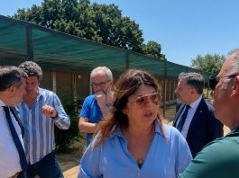 Tutela del benessere animale e contrasto al randagismo, l’assessore Straface avvia il tour istituzionale nei canili calabresi