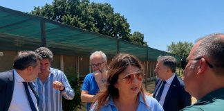 Tutela del benessere animale e contrasto al randagismo, l’assessore Straface avvia il tour istituzionale nei canili calabresi