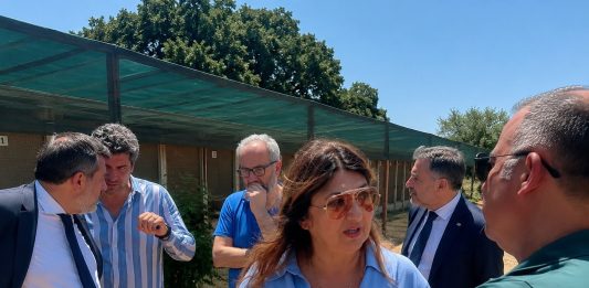 Tutela del benessere animale e contrasto al randagismo, l’assessore Straface avvia il tour istituzionale nei canili calabresi