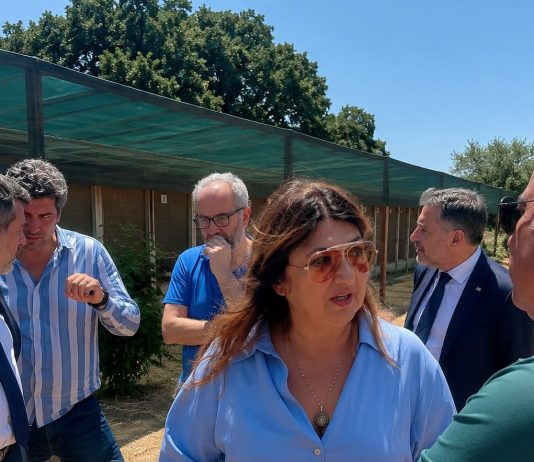 Tutela del benessere animale e contrasto al randagismo, l’assessore Straface avvia il tour istituzionale nei canili calabresi