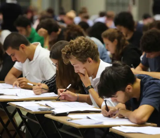 In 10 anni cresciuto del 19,8% il numero di immatricolati agli atenei tradizionali