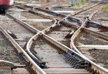 Treno investe due mucche sui binari della Roma-Firenze e deraglia vicino Montelibretti, nessun ferito
