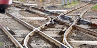 Treno investe due mucche sui binari della Roma-Firenze e deraglia vicino Montelibretti, nessun ferito