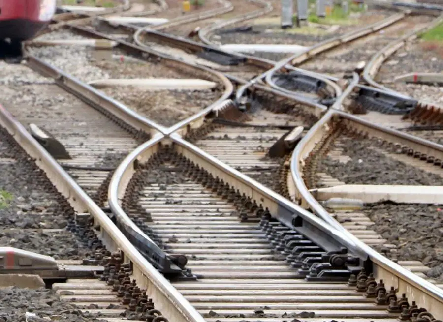 Treno investe due mucche sui binari della Roma-Firenze e deraglia vicino Montelibretti, nessun ferito