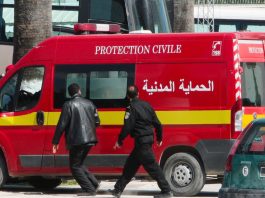 In Tunisia domati 186 incendi dalla Protezione civile nelle ultime 24 ore