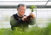 Cina: esperto agricolo dedica oltre sei decenni allo sviluppo delle campagne (3)