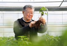 Cina: esperto agricolo dedica oltre sei decenni allo sviluppo delle campagne (3)