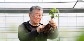 Cina: esperto agricolo dedica oltre sei decenni allo sviluppo delle campagne (3)