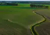 Cina: portavoce Commercio, pronti a facilitare commercio agricolo con Usa