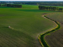 Cina: portavoce Commercio, pronti a facilitare commercio agricolo con Usa