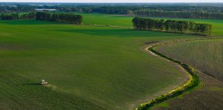 Cina: portavoce Commercio, pronti a facilitare commercio agricolo con Usa