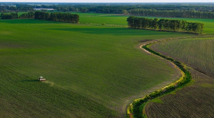 Cina: portavoce Commercio, pronti a facilitare commercio agricolo con Usa
