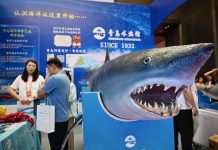 Cina: a Qingdao fiera sui viaggi di studio e l’istruzione (1)