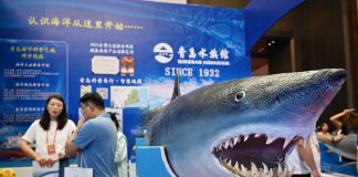 Cina: a Qingdao fiera sui viaggi di studio e l’istruzione (1)