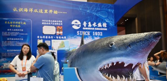 Cina: a Qingdao fiera sui viaggi di studio e l’istruzione (1)