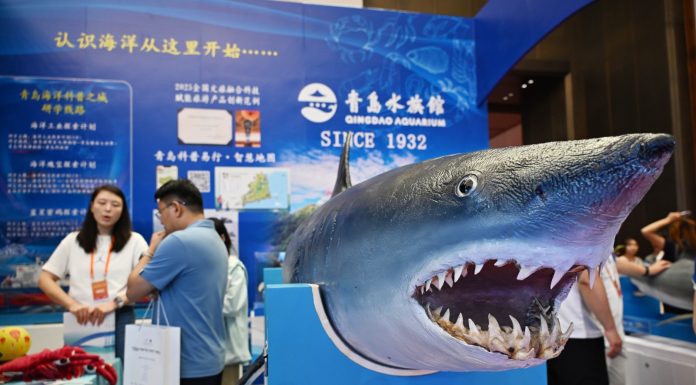 Cina: a Qingdao fiera sui viaggi di studio e l’istruzione (1)